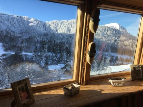 Appartement chalet Bellevue-pied de la montagne - Mont Dore